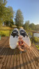 Anna, fiancée russe, 44 ans, taille - 158 cm, photo 6
