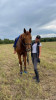 Lubov, fiancée russe, 37 ans, taille - 170 cm, photo 10