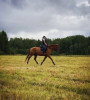 Lubov, fiancée russe, 37 ans, taille - 170 cm, photo 12