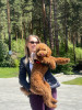 Angelika, fiancée russe, 29 ans, taille - 164 cm, photo 15