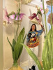 Kristina, fiancée russe, 36 ans, taille - 175 cm, photo 11