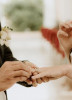 Elena & Julien: photo №9