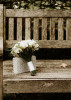 Elena & Julien: photo №12