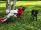 Tamara & Gilbert: photo №15